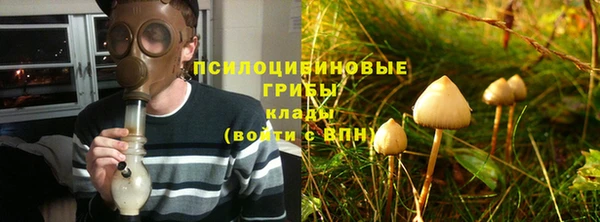 дурь Майский