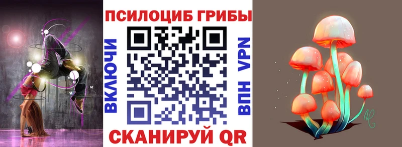 закладки Поворино Псилоцибиновые грибы ЛСД